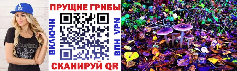 Купить закладки  Кропоткин  Галлюциногенные грибы Cubensis 